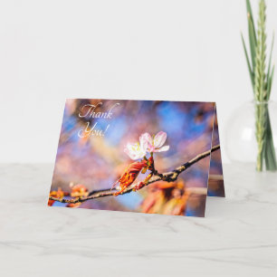 Twee geweldige Sakura Flowers. Roze, blauwe achter Bedankkaart