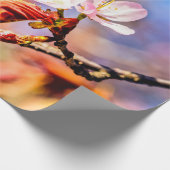 Twee geweldige Sakura Flowers. Roze, blauwe achter Cadeaupapier (Hoek)