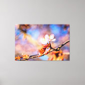 Twee geweldige Sakura Flowers. Roze, blauwe achter Canvas Afdruk (Voorkant)