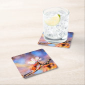 Twee geweldige Sakura Flowers. Roze, blauwe achter Kartonnen Onderzetters (Insitu)