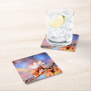 Twee geweldige Sakura Flowers. Roze, blauwe achter Kartonnen Onderzetters