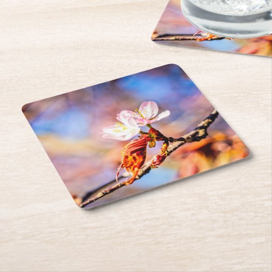 Twee geweldige Sakura Flowers. Roze, blauwe achter Kartonnen Onderzetters (Schuin)