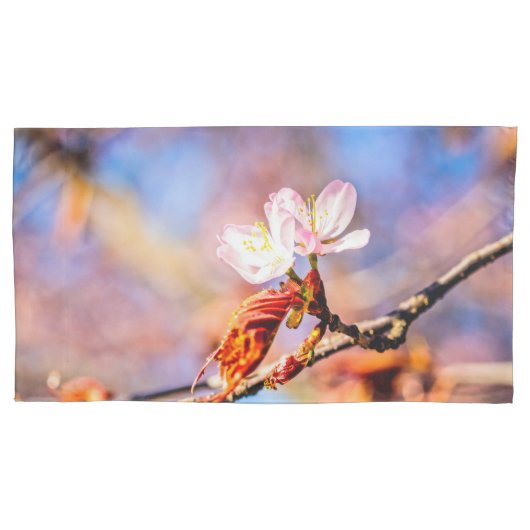 Twee geweldige Sakura Flowers. Roze, blauwe achter Kussensloop (Voorkant-Links)