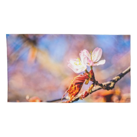 Twee geweldige Sakura Flowers. Roze, blauwe achter Kussensloop (Achterkant-Rechts)