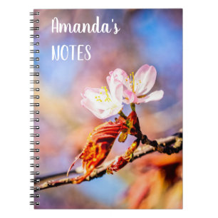 Twee geweldige Sakura Flowers. Roze, blauwe achter Notitieboek