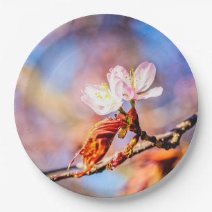 Twee geweldige Sakura Flowers. Roze, blauwe achter Papieren Bordje