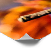 Twee geweldige Sakura Flowers. Roze, blauwe achter Poster (Hoek)