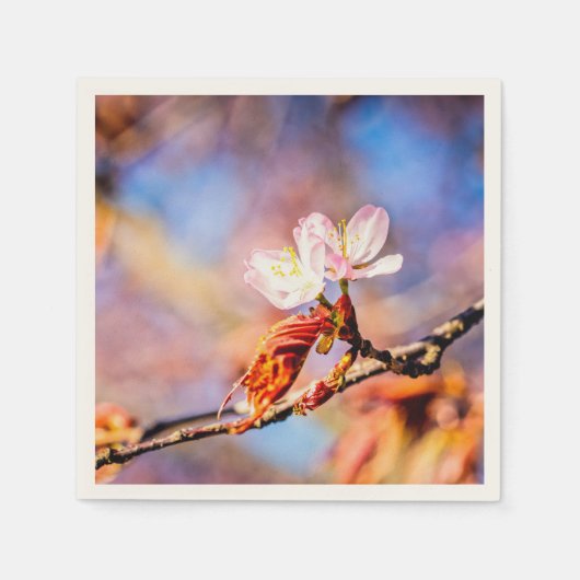Twee geweldige Sakura Flowers. Roze, blauwe achter Servet (Voorkant)