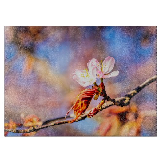 Twee geweldige Sakura Flowers. Roze, blauwe achter Snijplank (Voorkant)