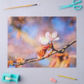 Twee geweldige Sakura Flowers. Roze, blauwe achter Tissuepapier (Craft)