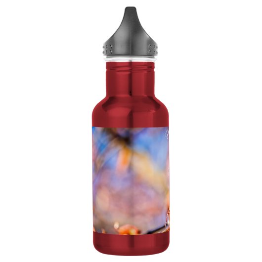 Twee geweldige Sakura Flowers. Roze, blauwe achter Waterfles (Links)