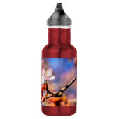 Twee geweldige Sakura Flowers. Roze, blauwe achter Waterfles (Rechts)