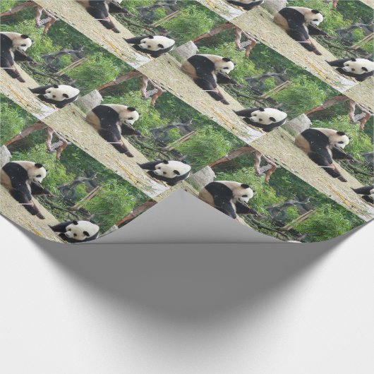 Twee gigantische panda. Dierfotografie Cadeaupapier (Hoek)