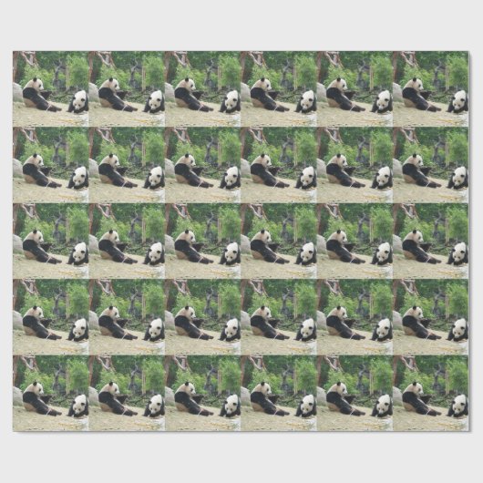 Twee gigantische panda. Dierfotografie Cadeaupapier (Vlak)