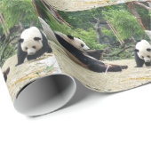 Twee gigantische panda. Dierfotografie Cadeaupapier (Rol Hoek)