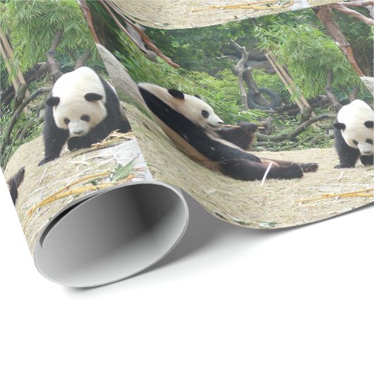 Twee gigantische panda. Dierfotografie Cadeaupapier (Rol Hoek)