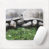 Twee gigantische schildpadden muismat (Met muis)