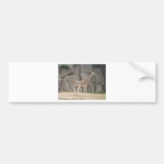 Twee giraffen bumpersticker