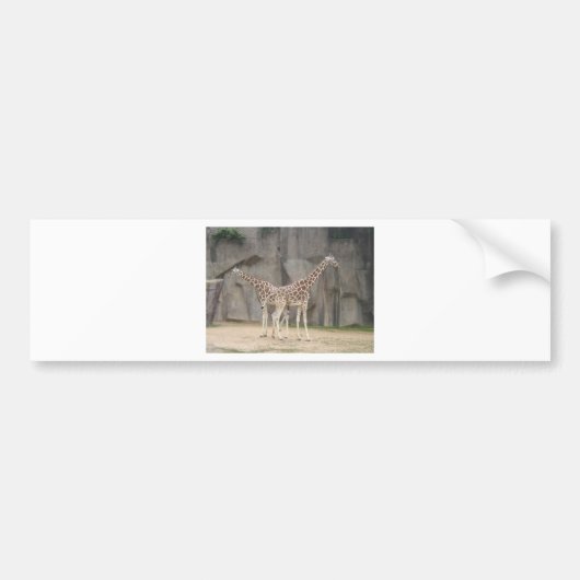 Twee giraffen bumpersticker (Voorkant)