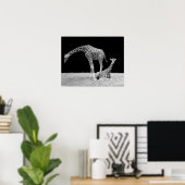 Twee giraffen in zwart-wit poster (Thuiskantoor)