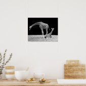 Twee giraffen in zwart-wit poster (Keuken)