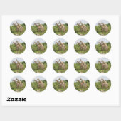 Twee giraffen ronde sticker (Vel)