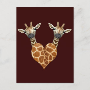 Twee Giraffes Briefkaart