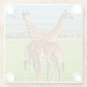 Twee Giraffes Glazen Onderzetter (Achterkant)
