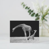 Twee Giraffes in zwart-wit Briefkaart (Staand voorkant)