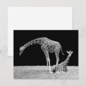 Twee Giraffes in zwart-wit Briefkaart (Voorkant / Achterkant)