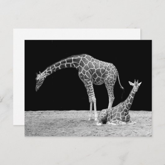 Twee Giraffes in zwart-wit Briefkaart (Voorkant / Achterkant)