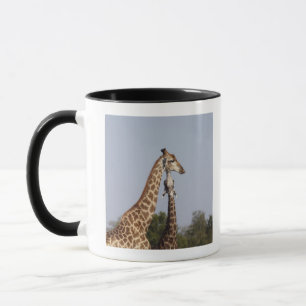 Twee Giraffes, Kruger National Park, Zuid-Afrika Mok
