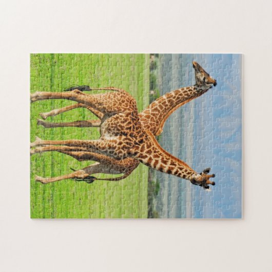Twee Giraffes Legpuzzel (Horizontaal)