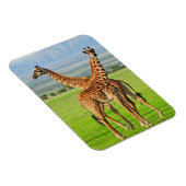 Twee Giraffes Magneet (Rechterzijde)