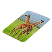 Twee Giraffes Magneet (Linkerzijde)