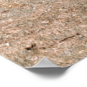 TWEE GIRAFFES POSTER (Hoek)