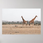 TWEE GIRAFFES POSTER (Voorkant)