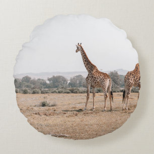 TWEE GIRAFFES ROND KUSSEN