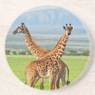 Twee Giraffes Zandsteen Onderzetter