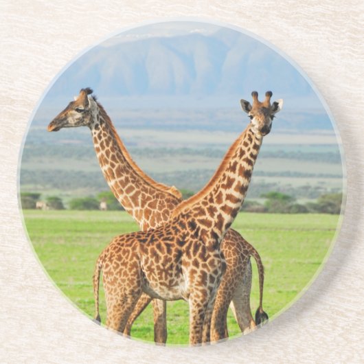 Twee Giraffes Zandsteen Onderzetter (Voorkant)