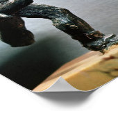 Twee gladiatoren in de gevechtsstrijd poster (Hoek)