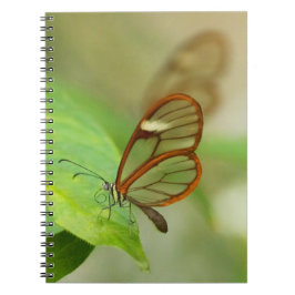 Twee glazen gevleugelde vlinders notitieboek