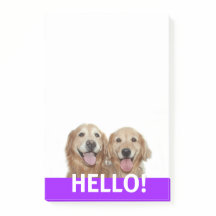 Twee glimlachende gouden honden Hallo