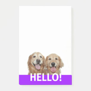 Twee glimlachende gouden honden Hallo Post-it® Notes