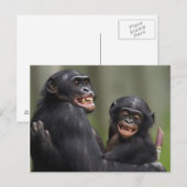 Twee glimlende bonobo's briefkaart (Voorkant / Achterkant)