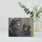 Twee glimlende bonobo's briefkaart (Staand voorkant)