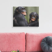 Twee glimlende bonobo's canvas afdruk (Insitu (Woonkamer))