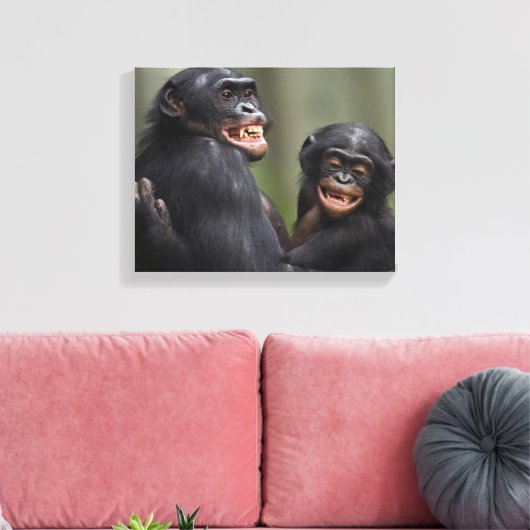 Twee glimlende bonobo's canvas afdruk (Insitu (Woonkamer))