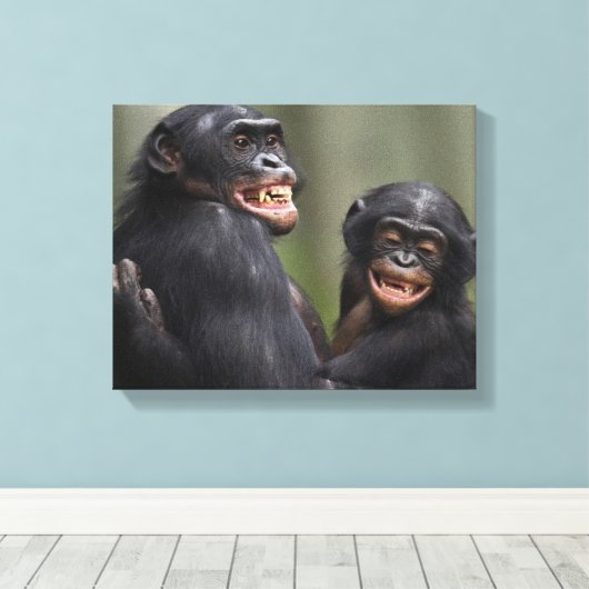 Twee glimlende bonobo's canvas afdruk (Insitu (Houten vloer))