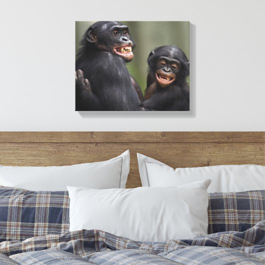 Twee glimlende bonobo's canvas afdruk (Insitu (Slaapkamer))